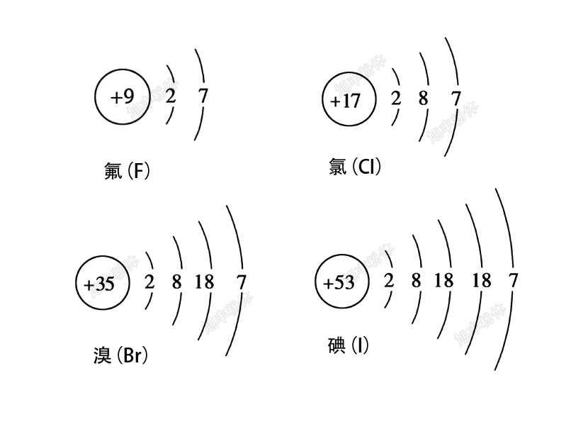 圖片2.jpg